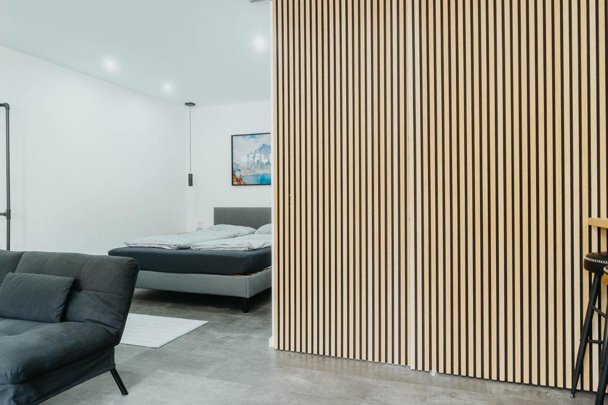 Apartment Loft 38 Mainz